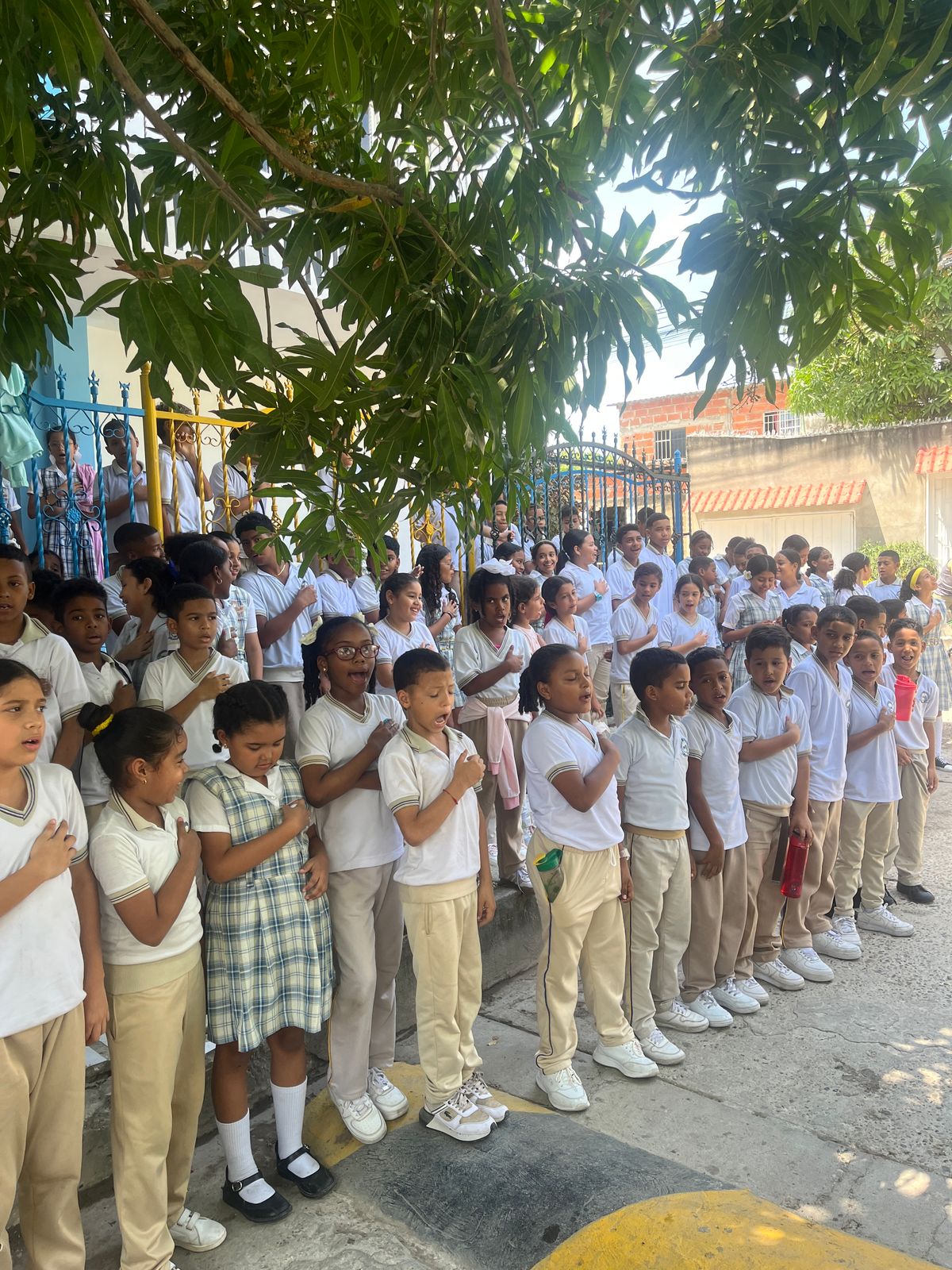 proyecto-democracia-4