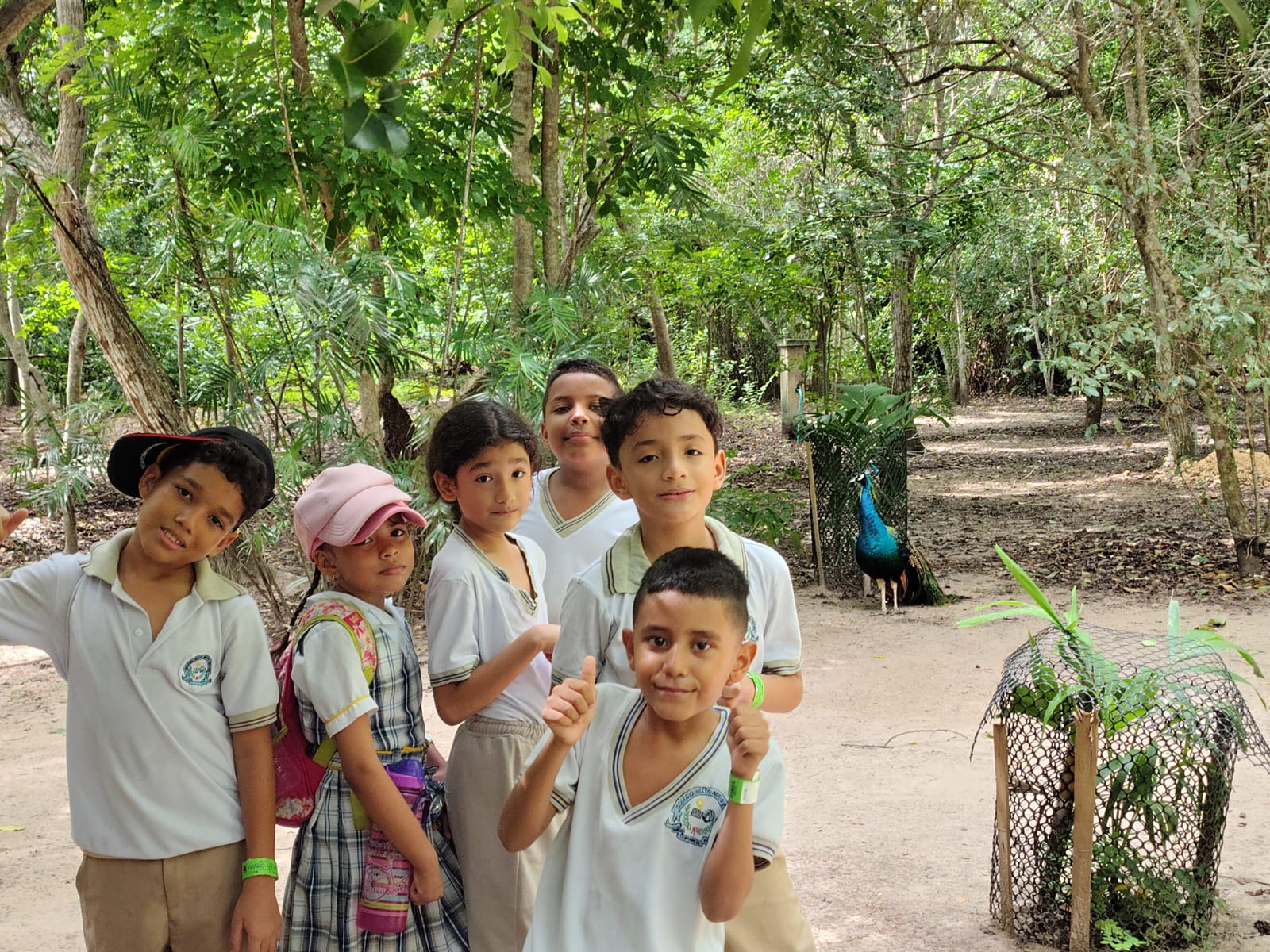 salida-pedagogica-al-aviario-1