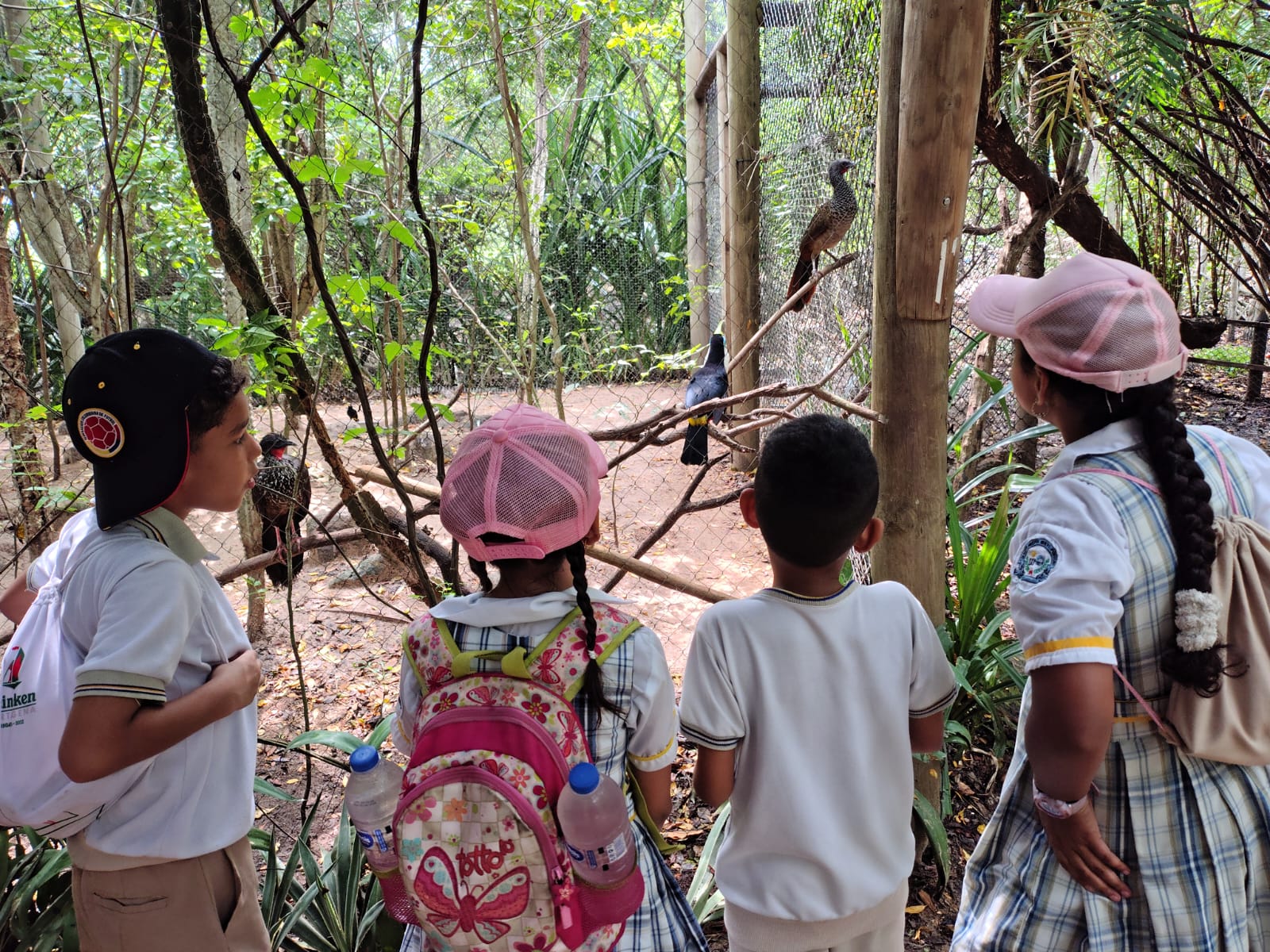 salida-pedagogica-al-aviario-3