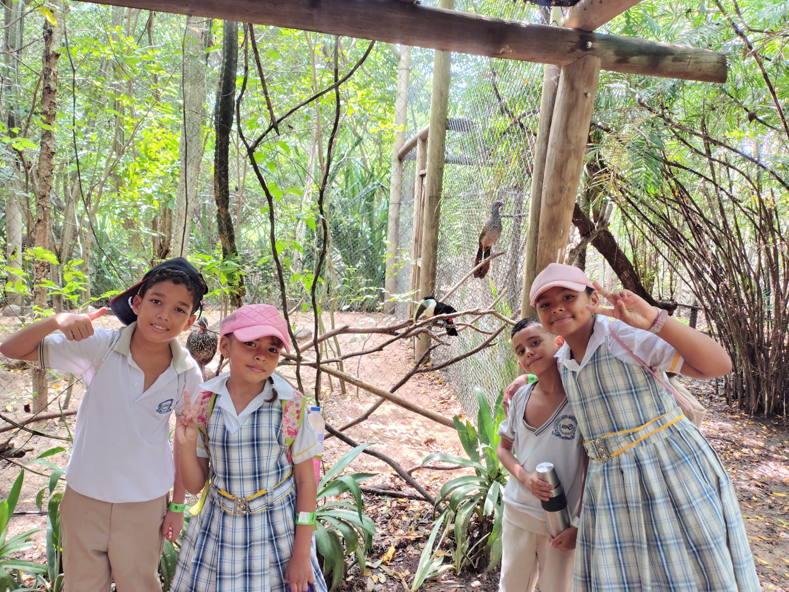 salida-pedagogica-al-aviario-4